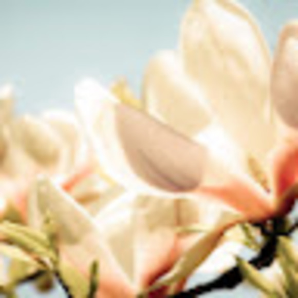 Meet your Posher, Jennifer - Picture 1 of 1